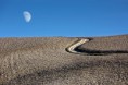 /album/paesaggi-toscani/chianni-the-road-to-the-moon-2-jpg/
